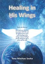 Healing in His Wings cover